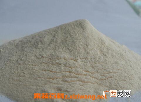 蛋白质粉的功效与作用 蛋白粉的用途
