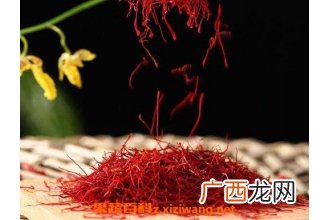 藏红花怎么吃 藏红花的吃法技巧