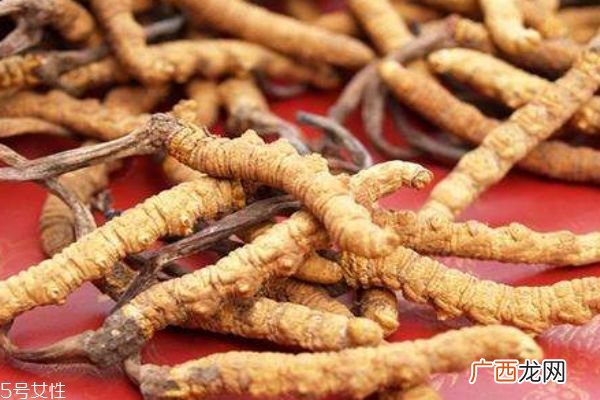 冬虫夏草生在在哪里呢冬虫夏草的市场价格是多少呢