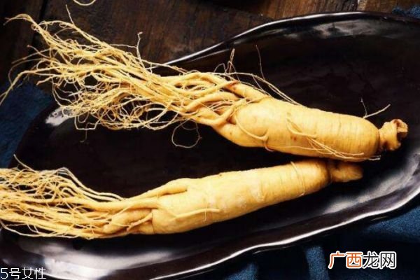 什么是白参呢白参有什么作用呢