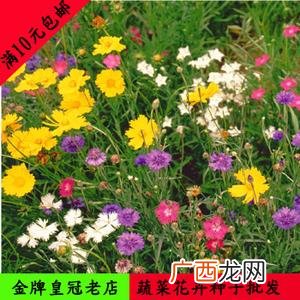 木本植物花卉大全 多年生造型花卉大全图