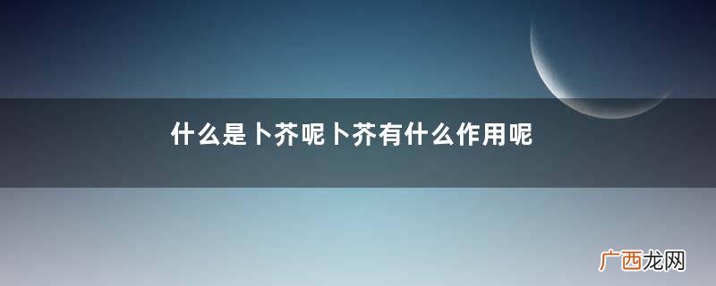 什么是卜芥呢卜芥有什么作用呢