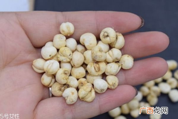 川贝的食用方法有什么呢川贝的食用有什么注意的呢