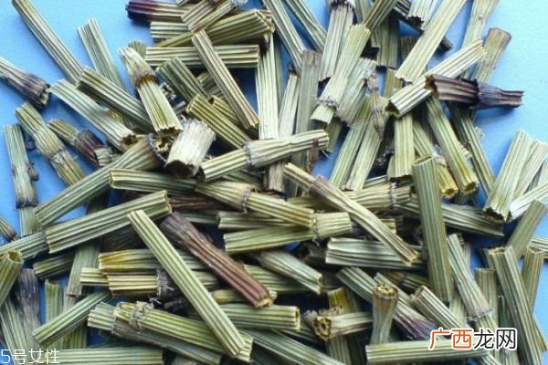 木贼主要分布在哪里呢木贼使用有什么禁忌呢