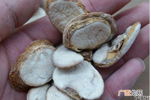 什么是大贝母呢大贝母有什么药用价值呢