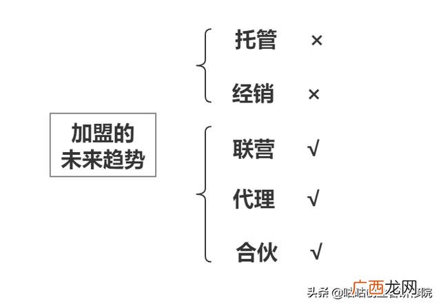 最新产品代理 项目加盟代理