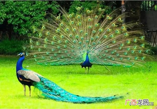 一到三万元的小本生意 50个适合乡镇做的生意
