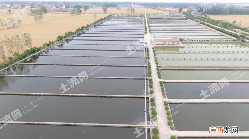 5亩水面能养殖多少桂鱼 沭阳水产养中国水产养殖基地