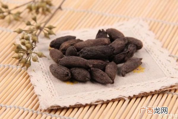 什么是母丁香呢母丁香有什么作用呢