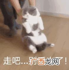 房屋抵押消费贷款,没有贷款的房子可以在银行贷款吗