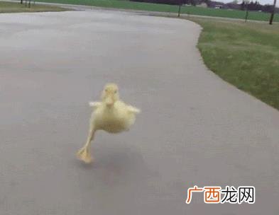 房屋抵押消费贷款,没有贷款的房子可以在银行贷款吗