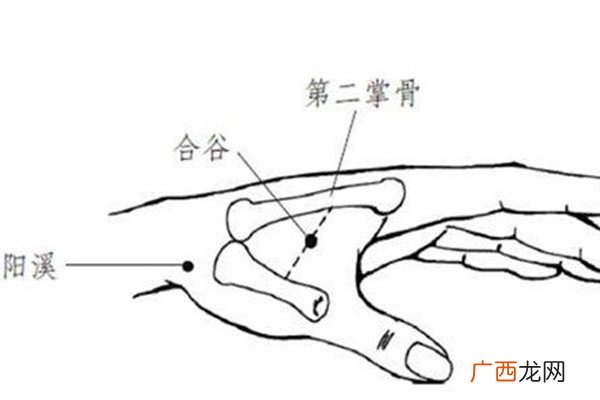 合谷穴能针灸吗合谷穴针灸的作用
