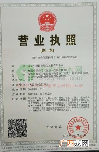 成都金科花卉市场 成都市花卉租赁