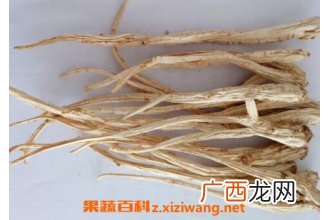 中药桔梗的功效与作用