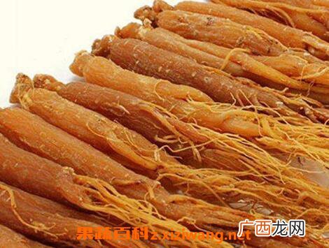 红参的功效与作用 红参怎么吃
