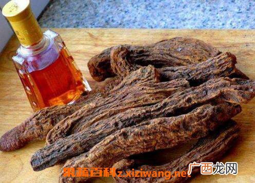 肉苁蓉的功效与作用 肉苁蓉的危害