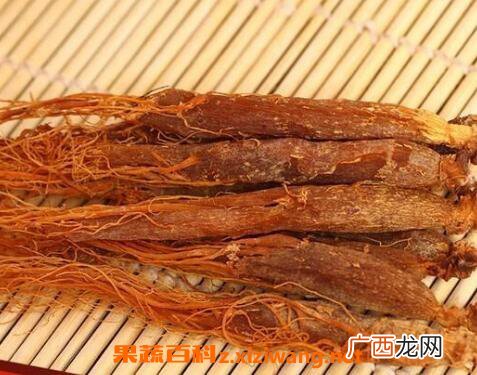 红参图片 红参泡水喝有什么好处