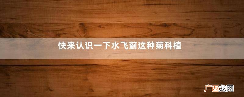 快来认识一下水飞蓟这种菊科植物不得了