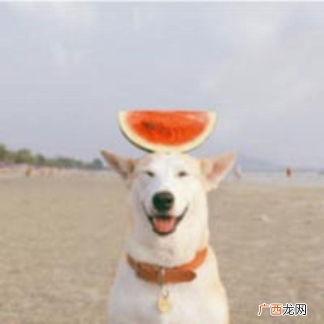 股票总市值和流通值 股票流通值是什么意思