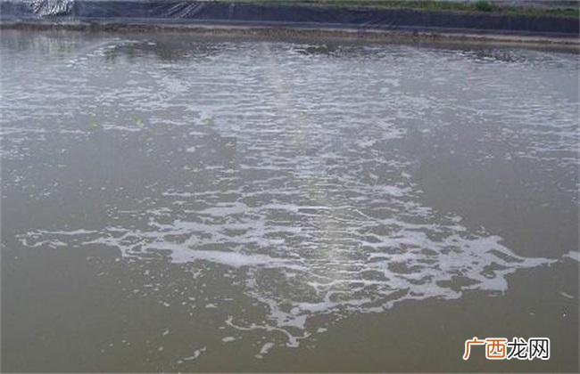 水产养殖大棚 水产养殖网 电话