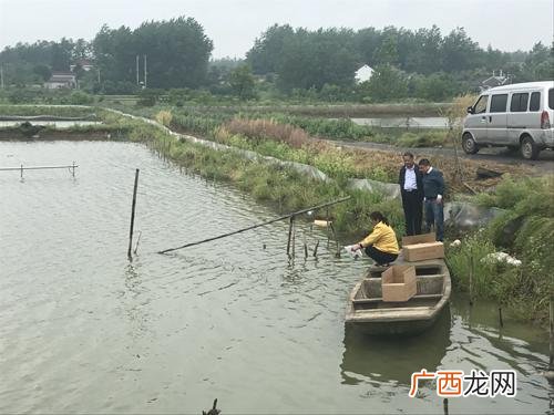 水产养殖大棚 水产养殖网 电话