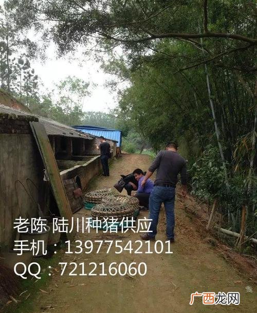 水产养殖设备 陆川县水产养殖