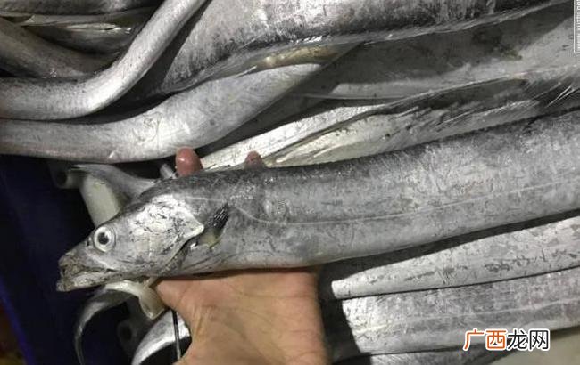 中国水产网水产行情 乌鲁木齐的水产品行情