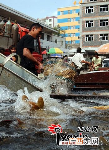 中国水产网水产行情 乌鲁木齐的水产品行情