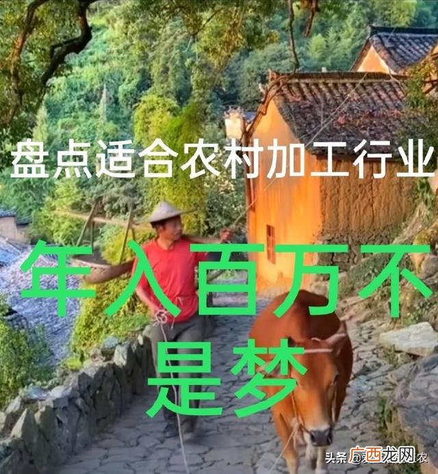 家庭作坊式加工项目 适合在农村办厂的小型项目