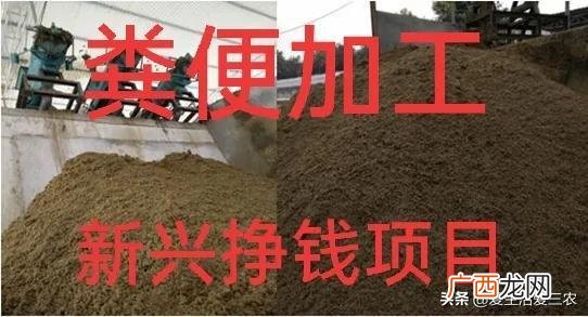 家庭作坊式加工项目 适合在农村办厂的小型项目