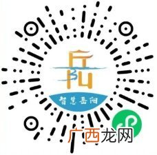 入岳返岳网上申报小程序