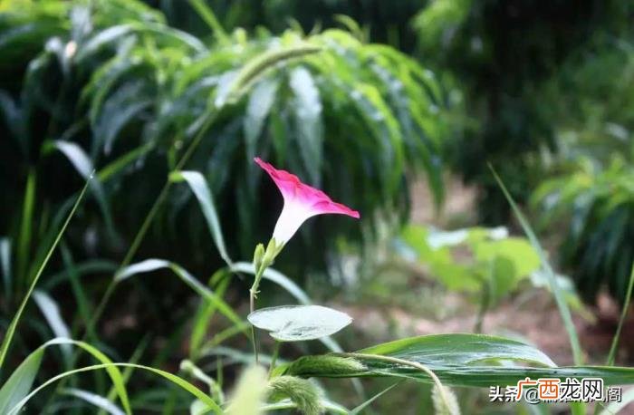 男人和女人操,一个男人和两个女人的故事