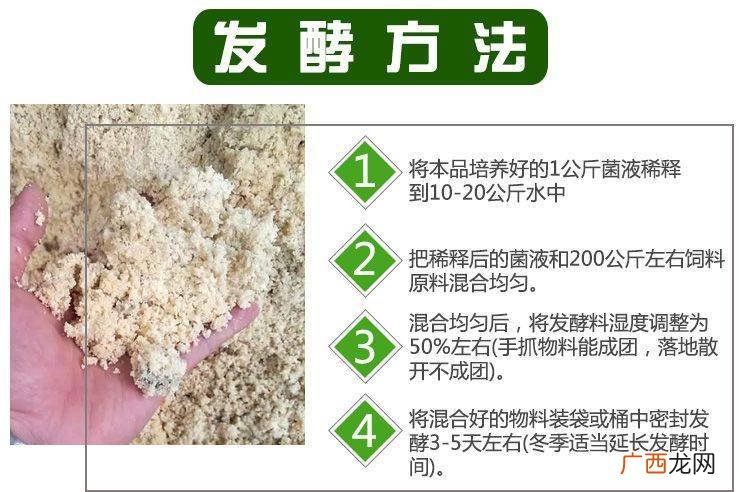 一只羊一天吃多少酒糟 发酵酒糟养羊技术