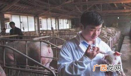 猪场有些什么职位 猪场技术场长