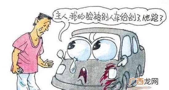 青豆苗怎么种的 青豆种植技术视频