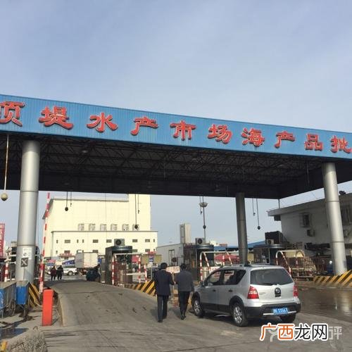 天津水产批发市场哪个好 天津水产收购处