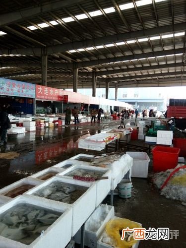 天津水产批发市场哪个好 天津水产收购处