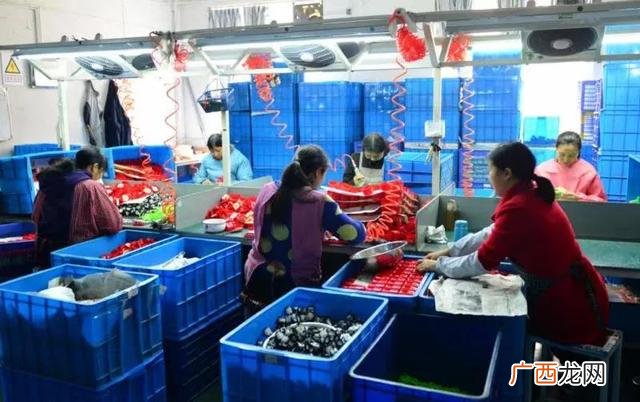 直接联系厂家的手工活,适合农村小商品加工