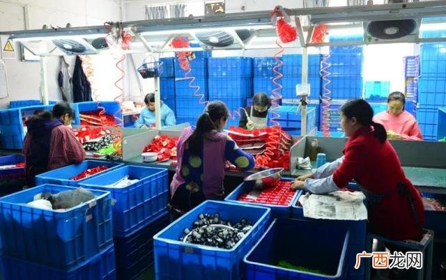 直接联系厂家的手工活,适合农村小商品加工