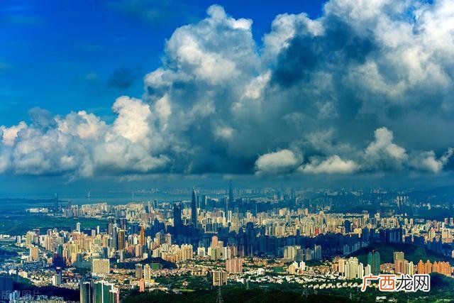 深圳十大龙头企业,深市最大市值公司