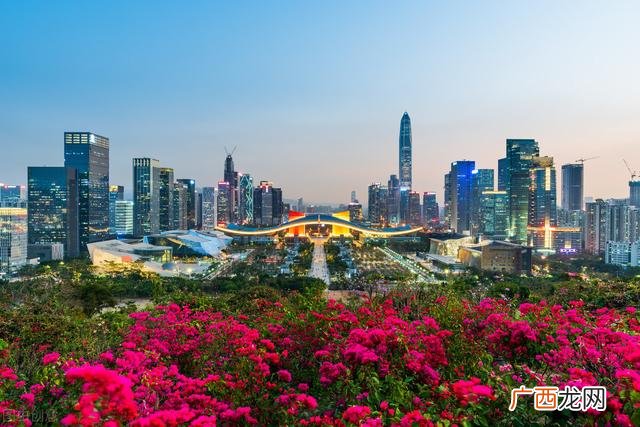 深圳十大龙头企业,深市最大市值公司