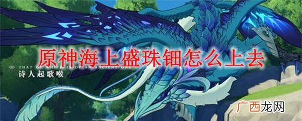 原神海上盛珠钿上去方法