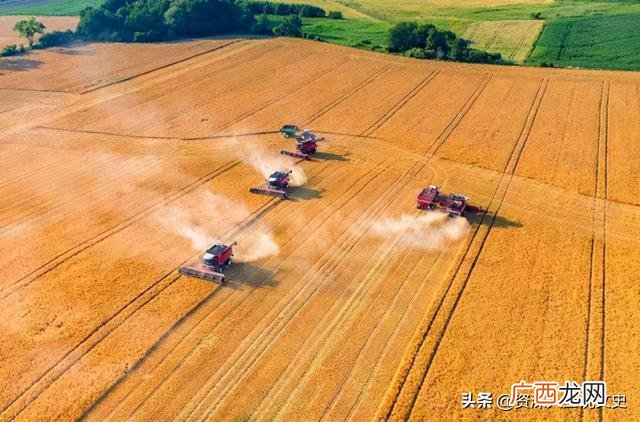东北可以做什么加工,东北适合干什么工厂
