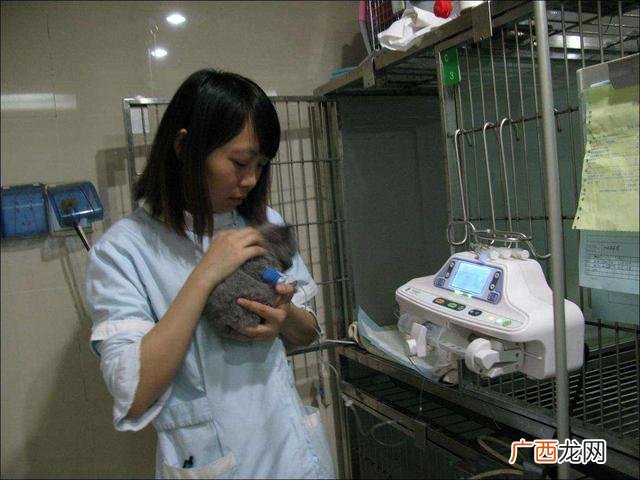适合女生学的一技之长,女生学点什么技术好呢