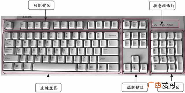 怎么练习电脑打字速度（提高电脑打字速度技巧