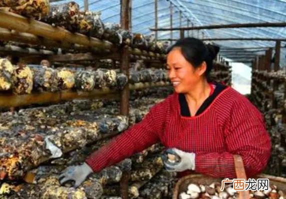 最挣钱没人干的行业,2021年种植什么最赚钱