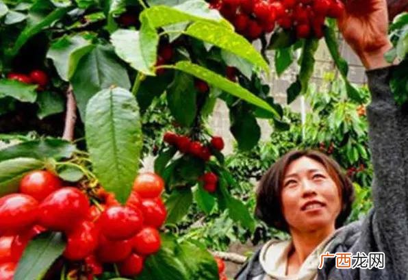 最挣钱没人干的行业,2021年种植什么最赚钱
