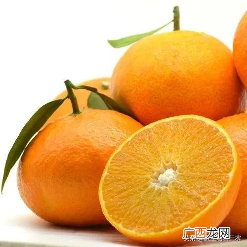 十大暴利养殖 现在学什么最赚钱农村