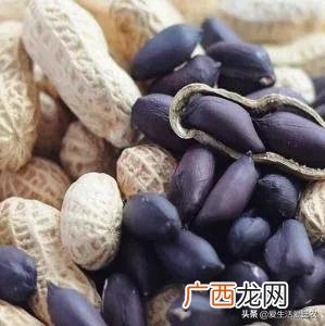 十大暴利养殖 现在学什么最赚钱农村