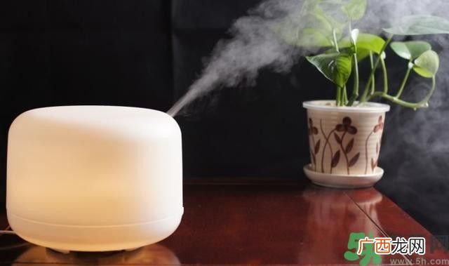 加湿器不适合什么人用？使用加湿器要注意些什么？